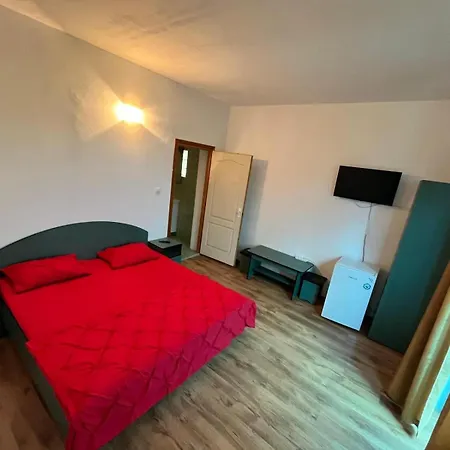 Guest house Vila Scania *